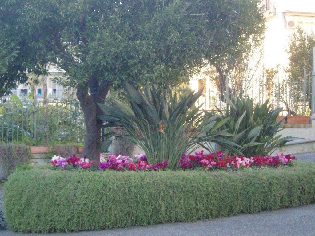 Miramare Residencia Pensión Pozzuoli Exterior foto